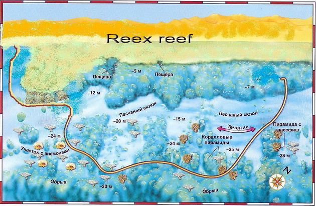 Reex reef